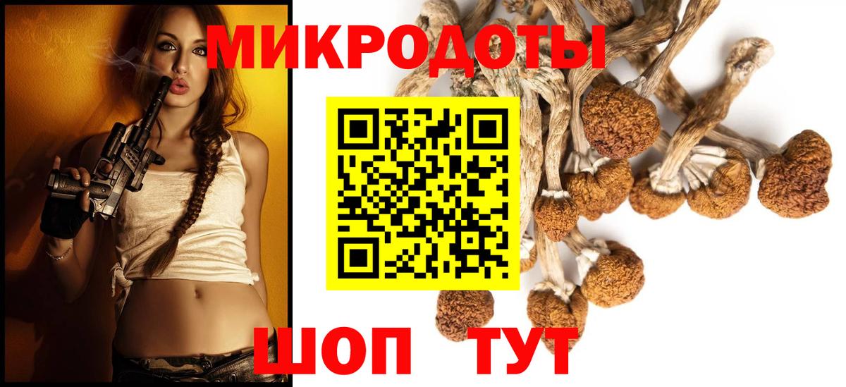 Псилоцибиновые грибы Psilocybe Ейск