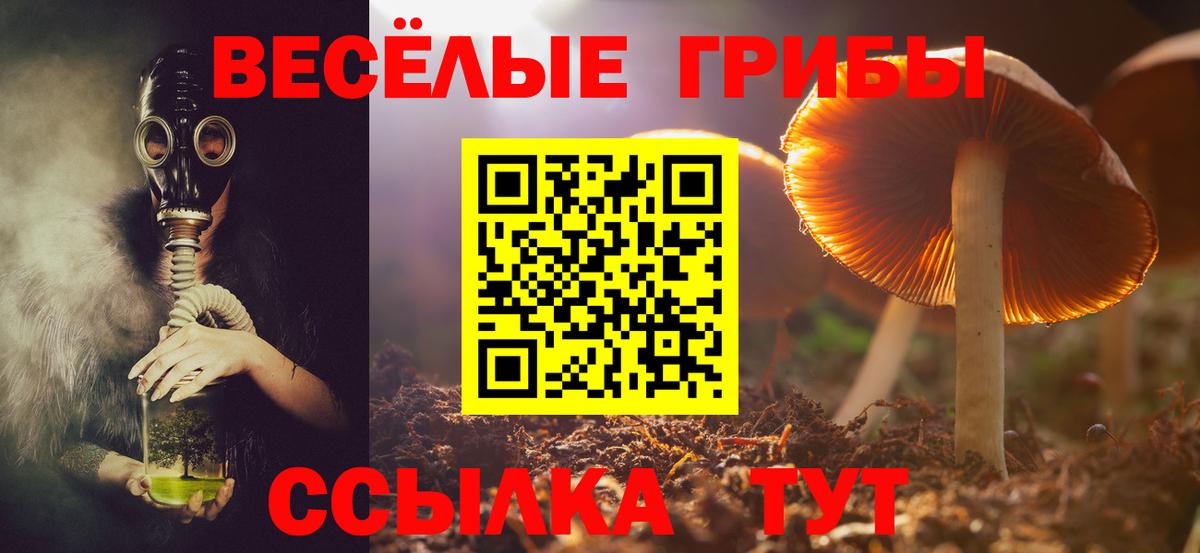 закладки  Псилоцибиновые грибы ЛСД  Вход с VPN  Ейск 