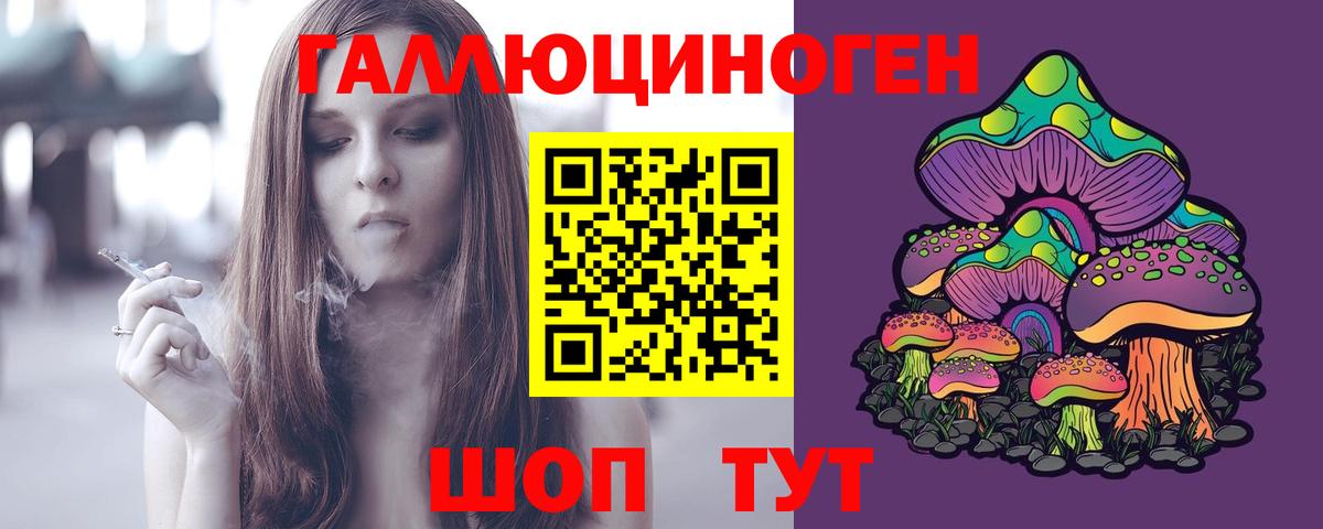 MDMA Ейск